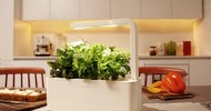 Click & Grow’s Smart Herb Garden Now Available for Purchase after Successful Kickstarter
