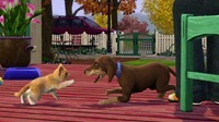 ts3_pets_announce_cat_dog_play_01