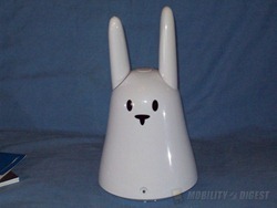 rabbit20